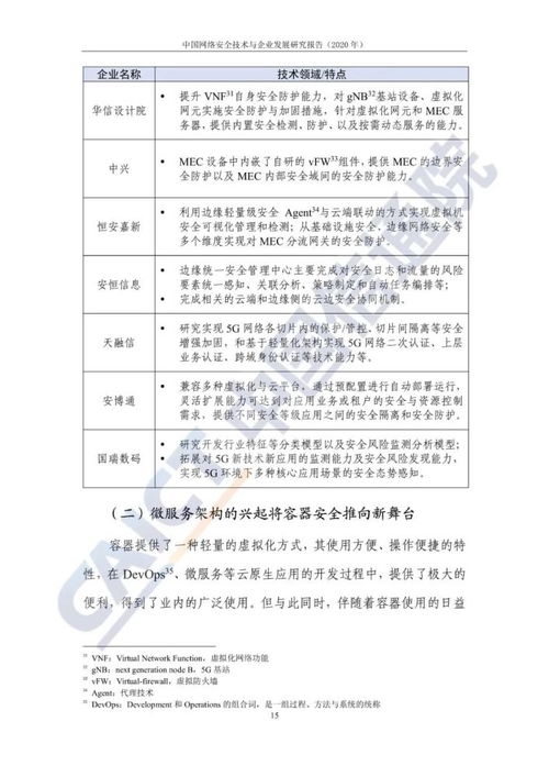 中国网络安全技术与企业发展研究报告 2020年