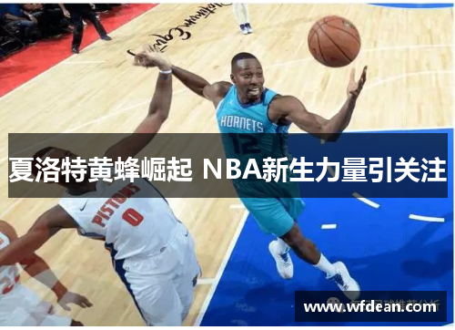 夏洛特黄蜂崛起 NBA新生力量引关注